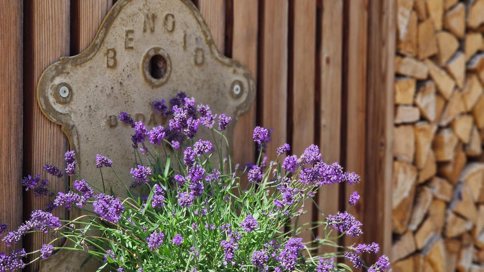 Nostalgie Bed & Breakfast Chraemerhus Curaglia Экстерьер фото